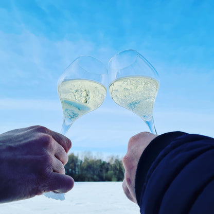 Schaumwein-Tulpe Suite Flute 27 / 6-er Set